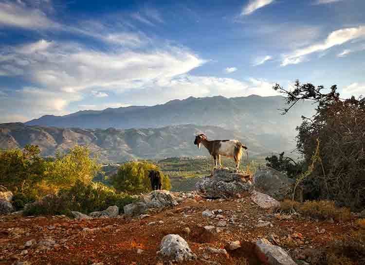 Randonnée en Crète