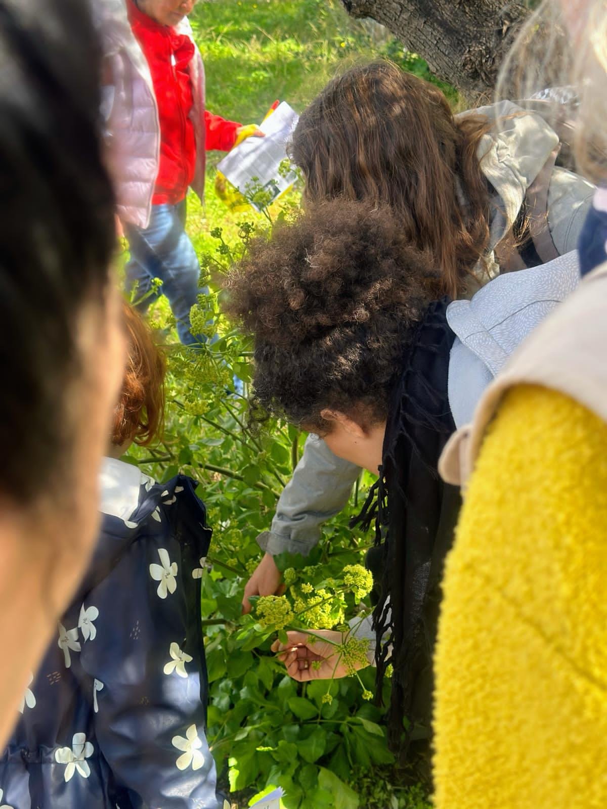 Expérience authentique